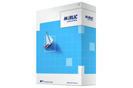 Introduction to MERLIC